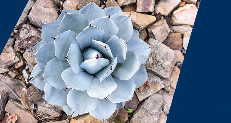 Médico urólogo cerca de Tláhuac