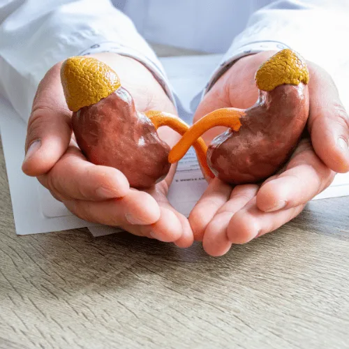 ¿Qué especialista trata la hiperplasia prostática?